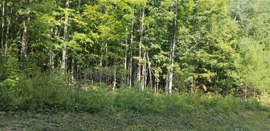 0 Dix Hill Rd unit lot 23 4829074, Plymouth, VT 05056 - photo 3