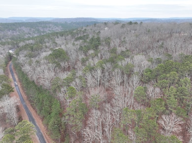 0 Henderson Rd unit 25381724, Odenville, AL 35120 - photo 4