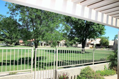 View from the Patio