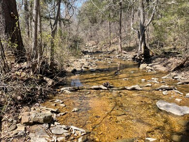 Tbd Center Rd, Ozark, MO 65721 - photo 3