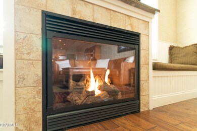 3415 Teaster Ln unit 506, Pigeon Forge, TN 37863 - photo 6