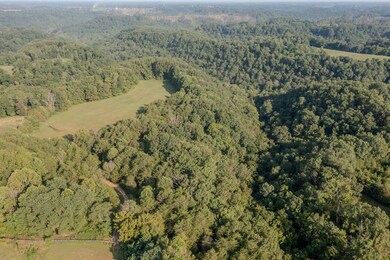 8450 Highway 196, Nancy, KY 42544 - photo 7