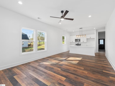 202 S Howard Ave, Landrum, SC 29356 - photo 7