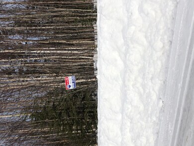 IMG-5637