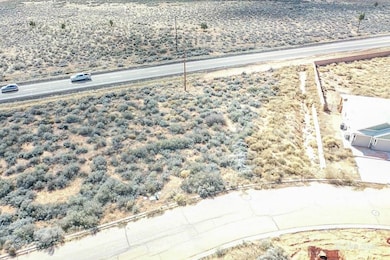 1176 E Cactus Dr, Apple Valley, UT 84737 - photo 3