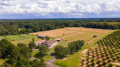 DJI_0391