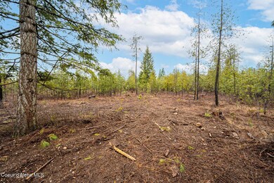 L5 B1 N Mountain View Rd, Rathdrum, ID 83858 - photo 3