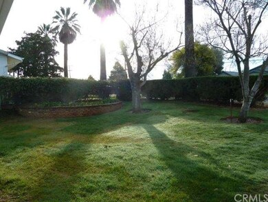 Front yard