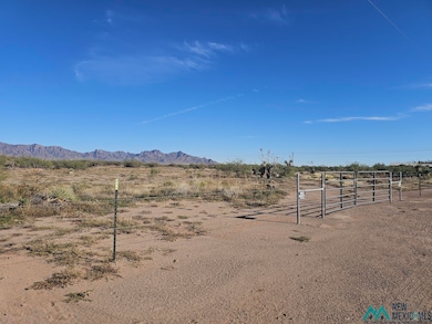 000 Sunshine Rd, Deming, WA 99030 - photo 7