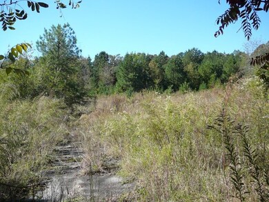 9.5 Acs Airline Rd unit 9.5 Acs Hayes Rd, Anderson, SC 29624 - photo 4