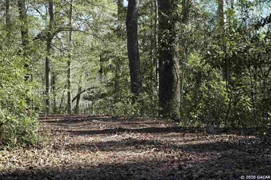 0000 NE 120 Loop, Branford, FL 32008 - photo 3