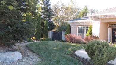 Front Lawn