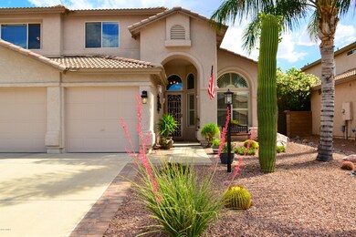 Wrought Iron Decorative Screen Door
