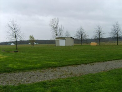 Backyard(2)