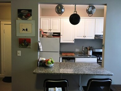 233 Kelton St unit 5, Allston, MA 02134 - photo 3