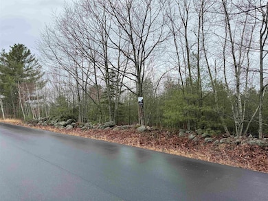 TBD Mason Rd, Milton, NH 03851 - photo 3