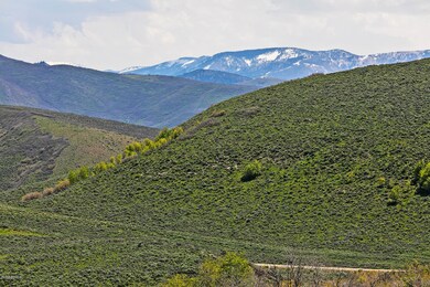 4127 Aspen Camp Loop Lot 75-003-20-08412