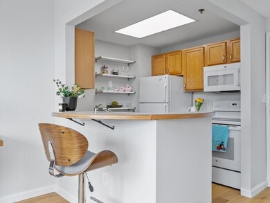 Glass Factory Condominiums unit 404, Cambridge, MA 02141 - photo 6