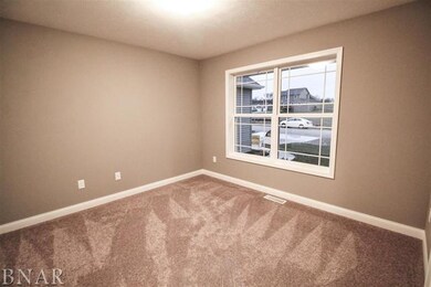 113 Dode, Downs, IL 61736 - photo 5