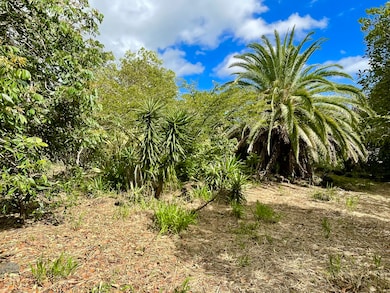 0 Ha'Eha'e St unit 718347, Naalehu, HI 96772 - photo 5