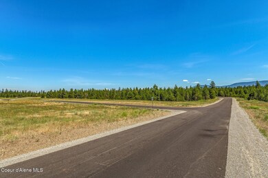 Lot 13 Asulkan St, Athol, ID 83801 - photo 7