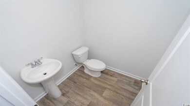 880 Twickenham Loop unit Lot 20 - Arden F, Longs, SC 29568 - photo 3