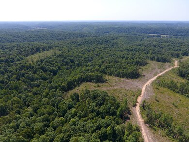 0 Mathis Cemetery Rd unit RTC2414563, Stewart, TN 37175 - photo 3