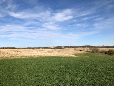 98.33 +/- acres Pikes Peak Rd, Potosi, WI 53820 - photo 4