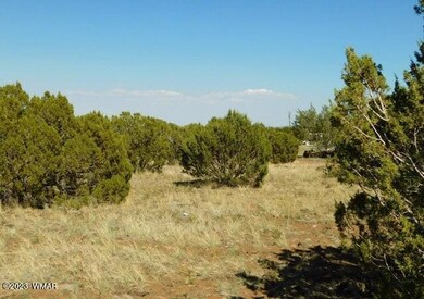 8548 Quail Run Dr Show Low, AZ 85901