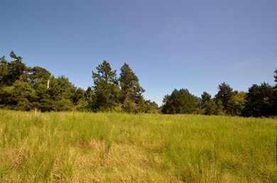 50 Ac County Road 130, Whitesboro, TX 76273 - photo 6