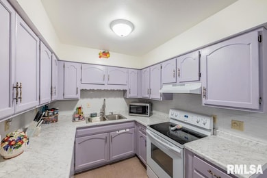 4326 W Tara Cir, Peoria, IL 61615 - photo 5