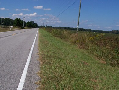 00 Tee Vee Road Hwy 267, Santee, SC 29142 - photo 4