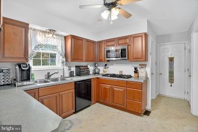 386 Loomis Ave, Coatesville, PA 19320 - photo 7