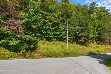 Lot 143 Whistle Valley Rd, New Tazewell, TN 37825 - photo 5