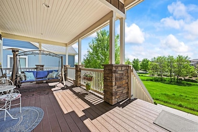 4378 Fell Mist Way, Castle Rock, CO 80109 - photo 3