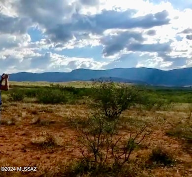 5A Parcel Id 113-05-029 unit 123, Pearce, AZ 85625 - photo 2