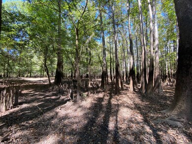 0 Reynolds Rd, Tensaw, AL 36579 - photo 7