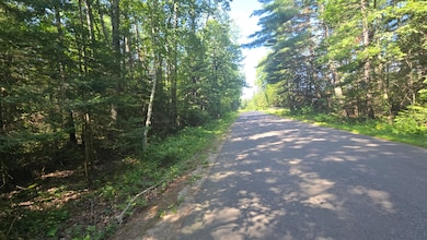2 Lots Timber Lodge Rd, Rhinelander, WI 54501 - photo 2