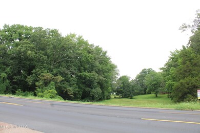 IMG_6249