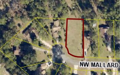 0 Mallard Place unit 107503, Lake City, FL 32055 - photo 2