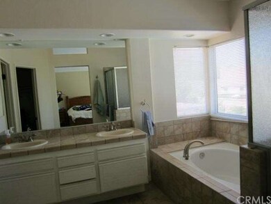 Large master bathroom with tub, shower, dual sinks