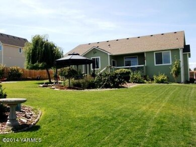 Back yard
