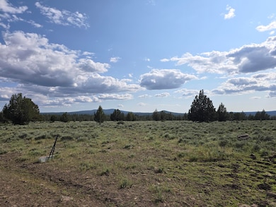 0 Fishhole Creek Rd unit 220200007, Bly, OR 97622 - photo 5