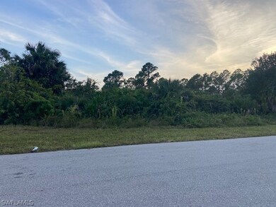 6021 Ruth Ave N, Lehigh Acres, FL 33971 - photo 3