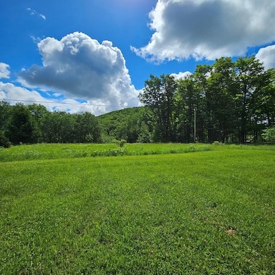 359 Gazdag Rd, Genesee, PA 16923 - photo 7