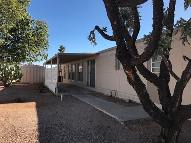 North-facing Patio