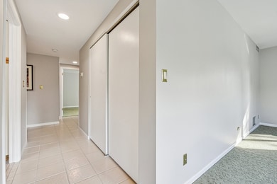 1105 N Mill St unit 224, Naperville, IL 60563 - photo 7