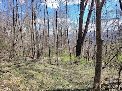 home site 2 facing SE