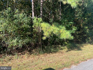 0 Cincinnati Place unit VALA2008546, Mineral, VA 23117 - photo 4