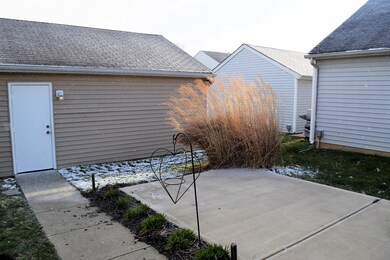 Cement Patio